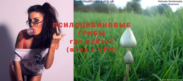 PSILOCYBIN Абаза